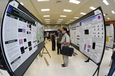 Posters at the research symposium.